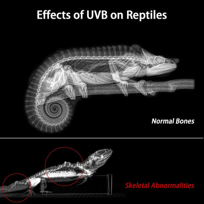REPTITRIP automatic timer LED UVB lamp mounted over a turtle habitat.