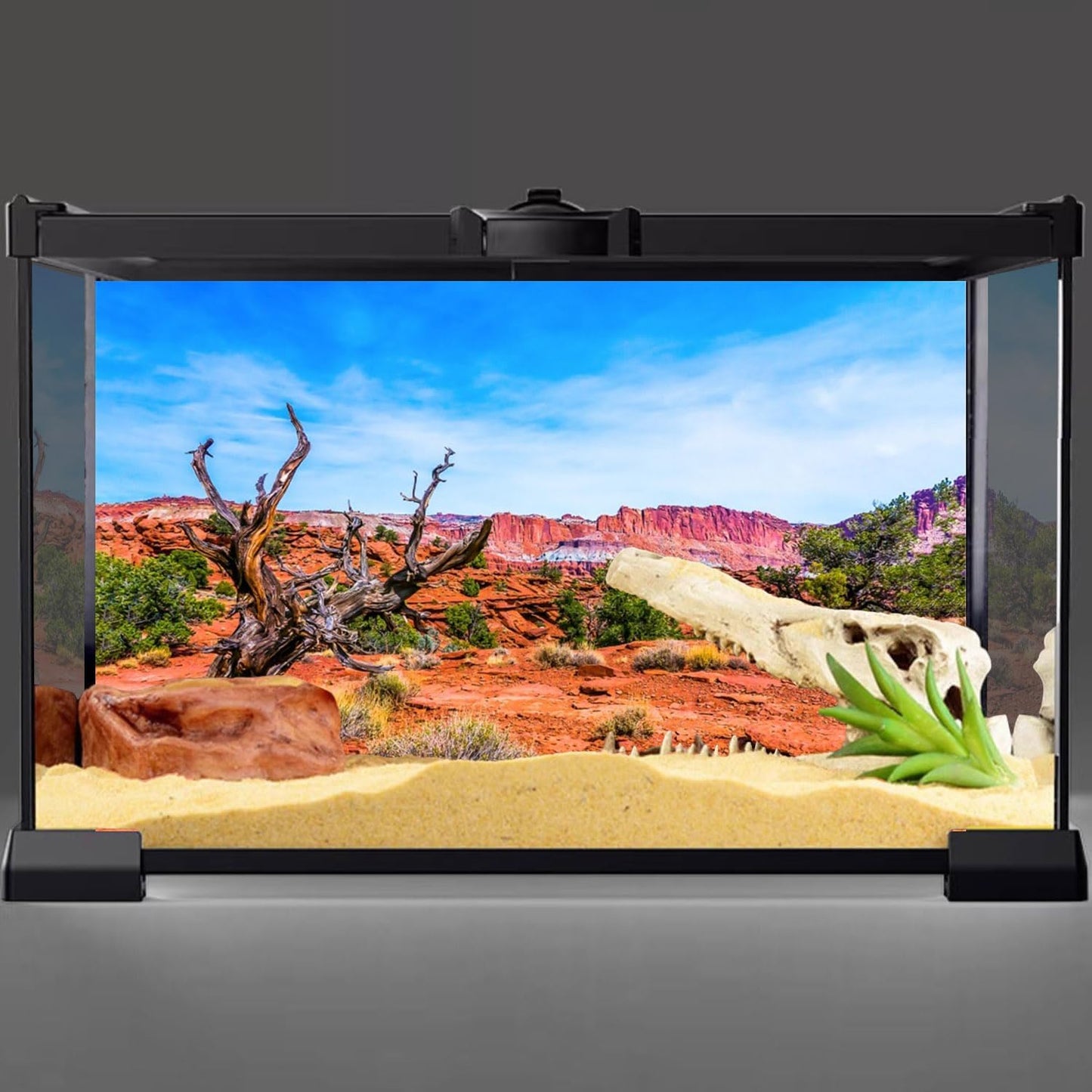 AWERT desert terrarium background forty eight by twenty inches backdrop for glass tanks