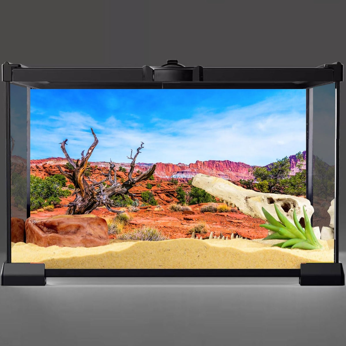 Awert reptile habitat background front view showcasing the orange desert landscape.