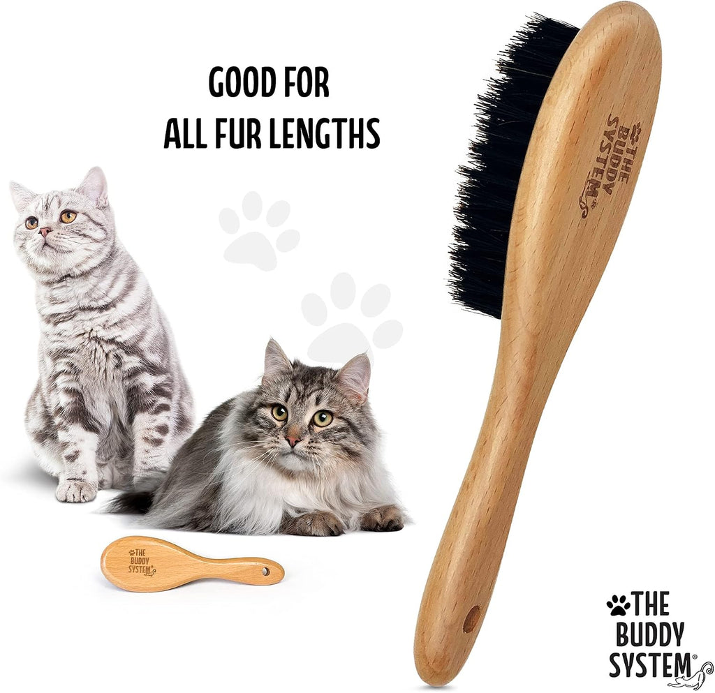 Natural boar bristles on oval pet grooming tool for healthy shine detail view