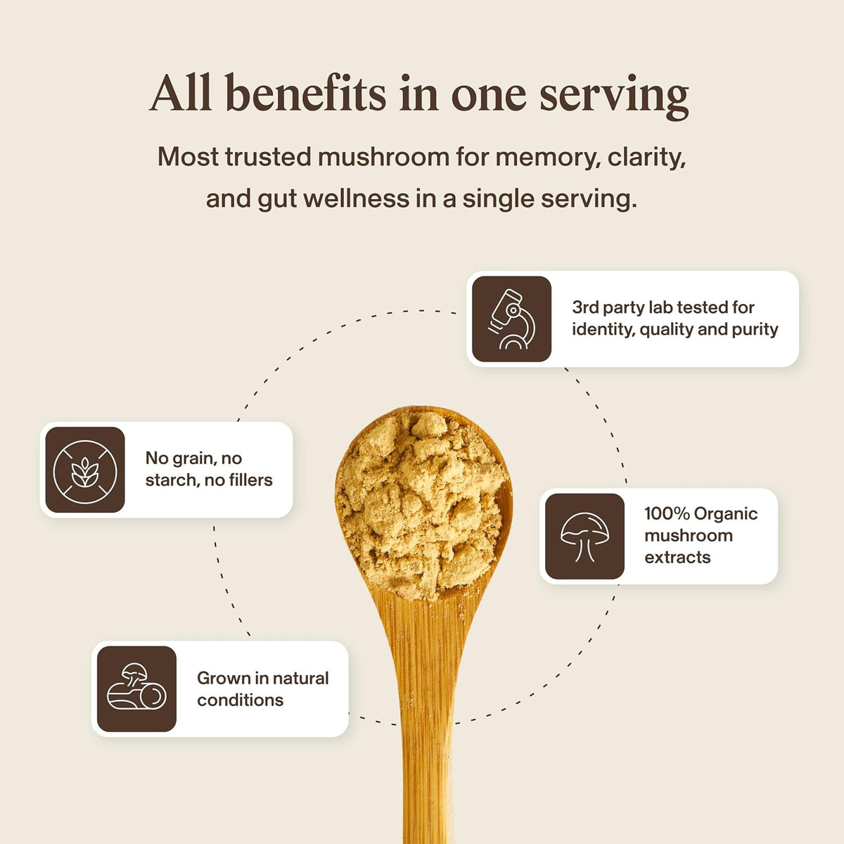 Real Mushrooms Lion's Mane Capsules, Brain, Focus and Cognition, 120ct - Image 8