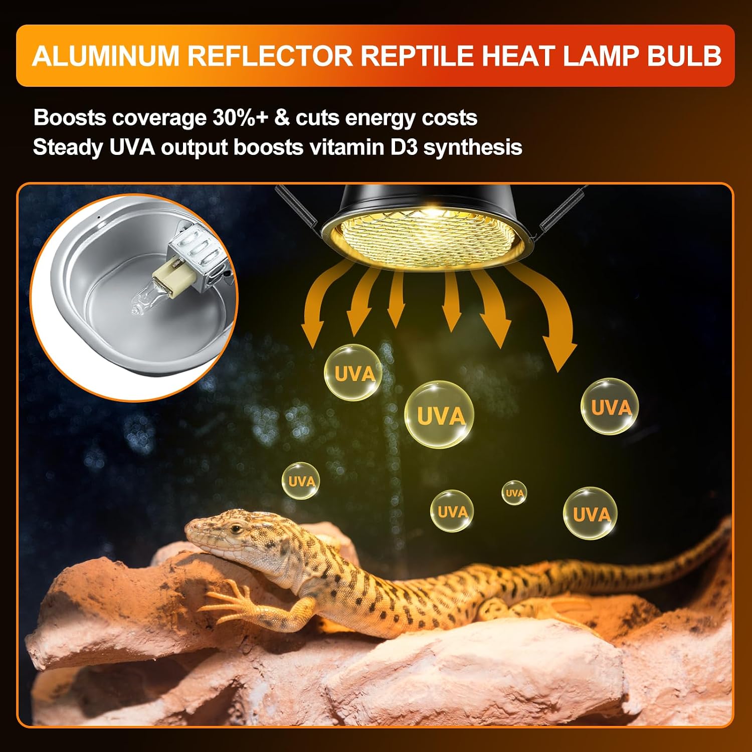 Inline power switch and integrated mounting hooks on reptile light fixture