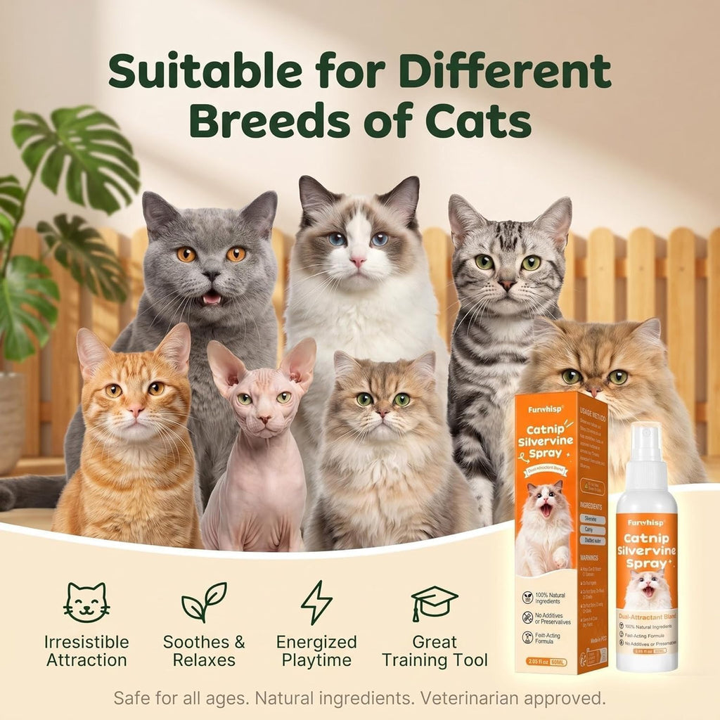 High response rate dual formula cat attractant spray applied onto an indoor cat bed.