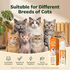 High response rate dual formula cat attractant spray applied onto an indoor cat bed.