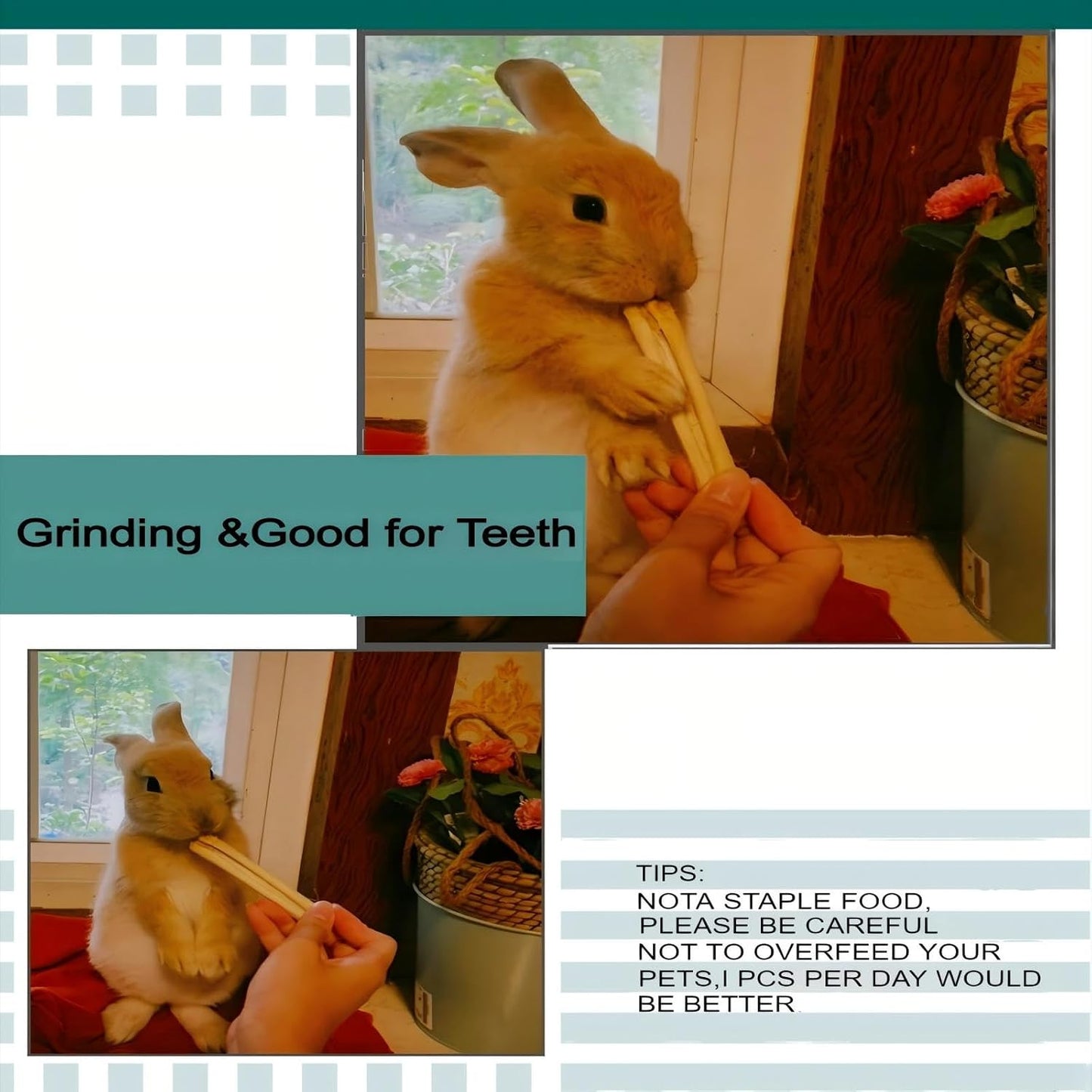 Premium bamboo chew treats highlighting the healthy fiber texture for rabbits.