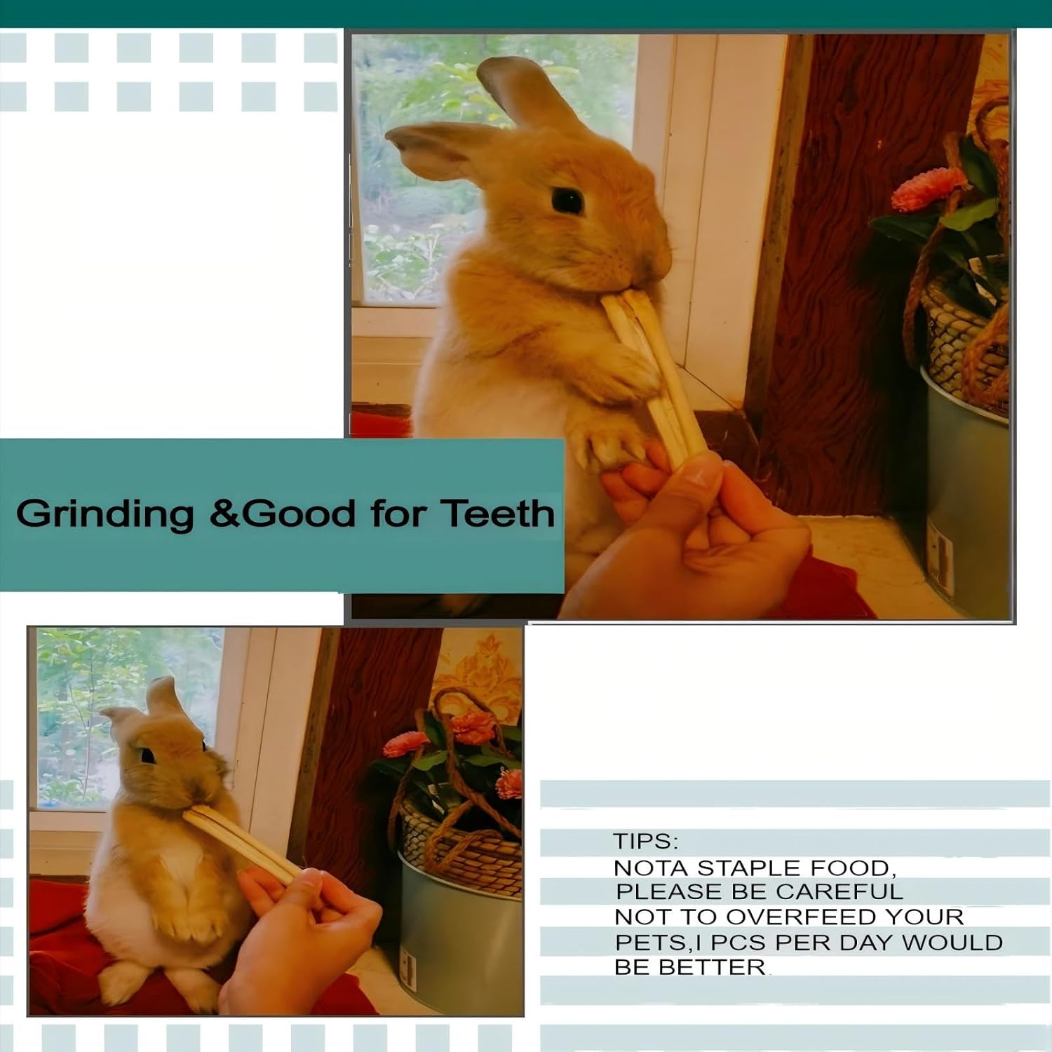 Premium bamboo chew treats highlighting the healthy fiber texture for rabbits.