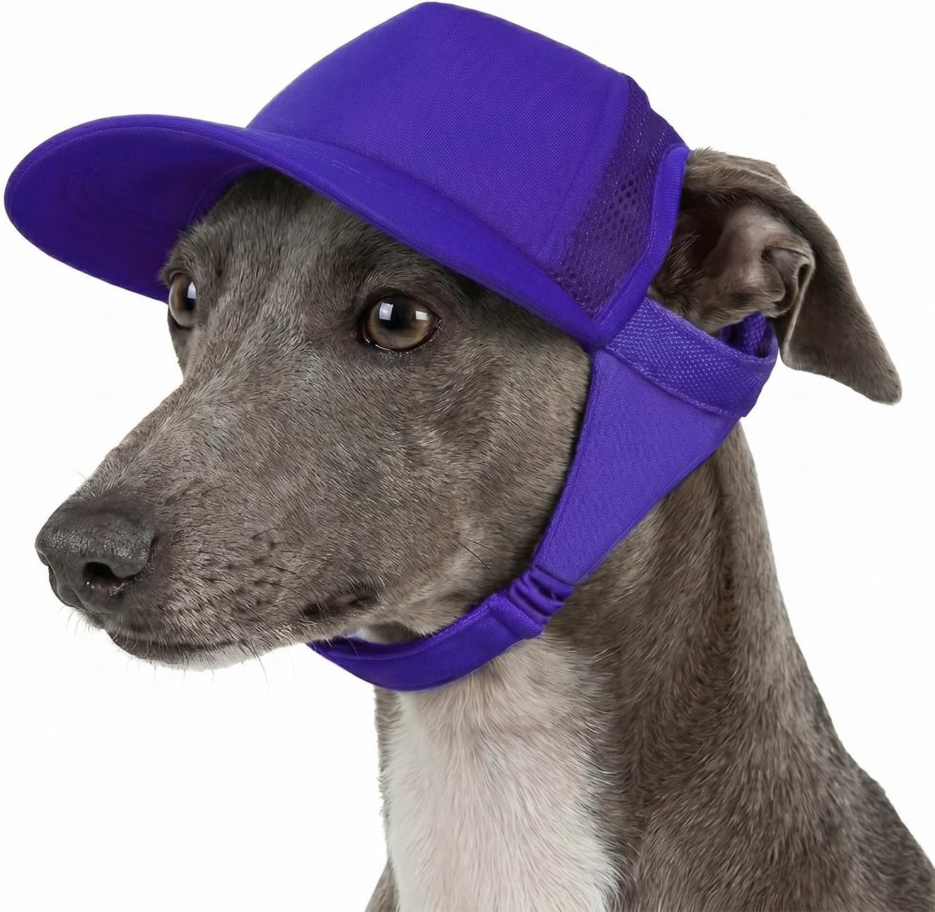 Reinforced brim detail on Tuff Pupper dog hat