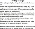 Famoore cat grooming bag demonstration during bath time