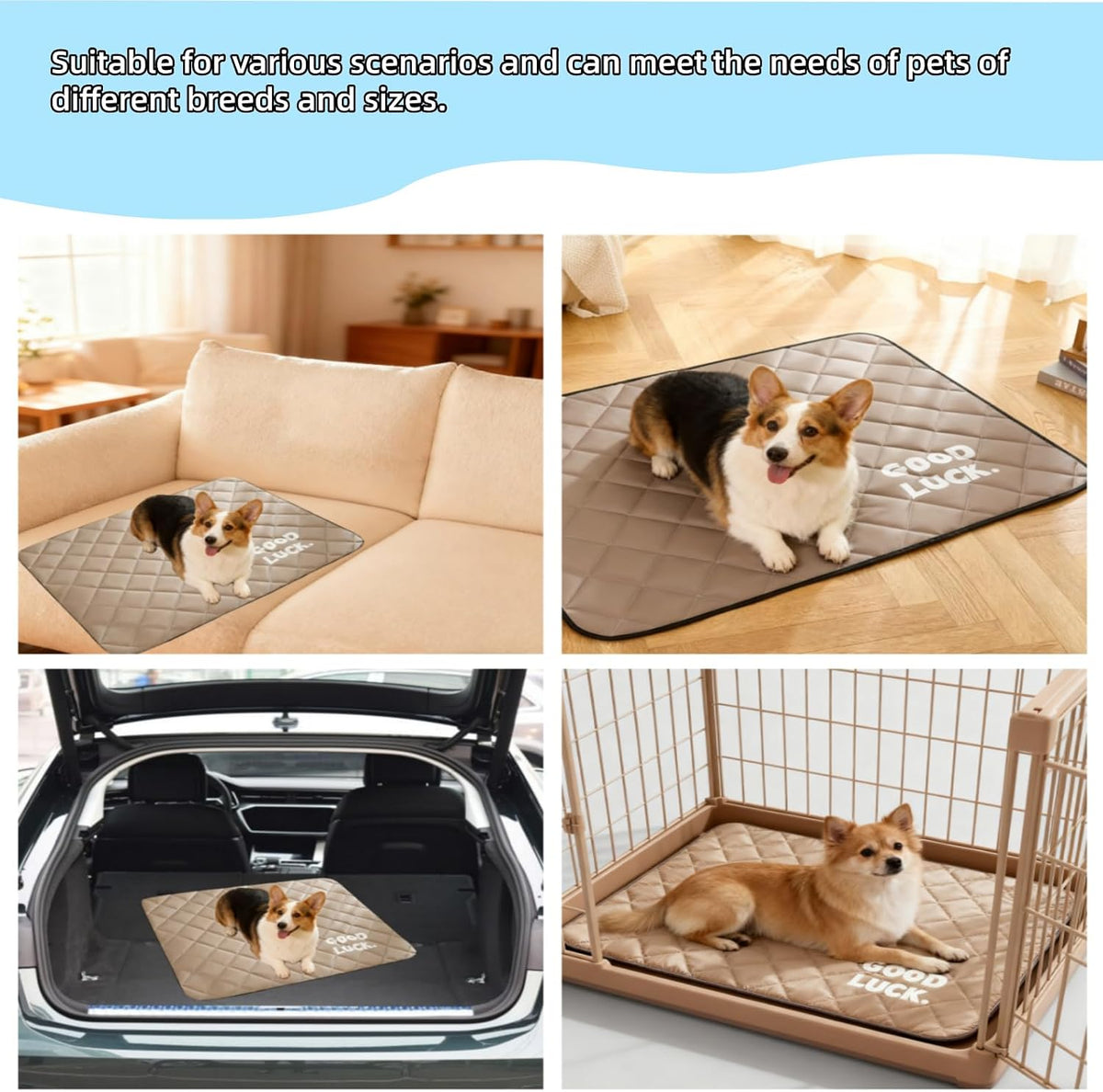 Neuqiho washable pet bed mat in a car seat