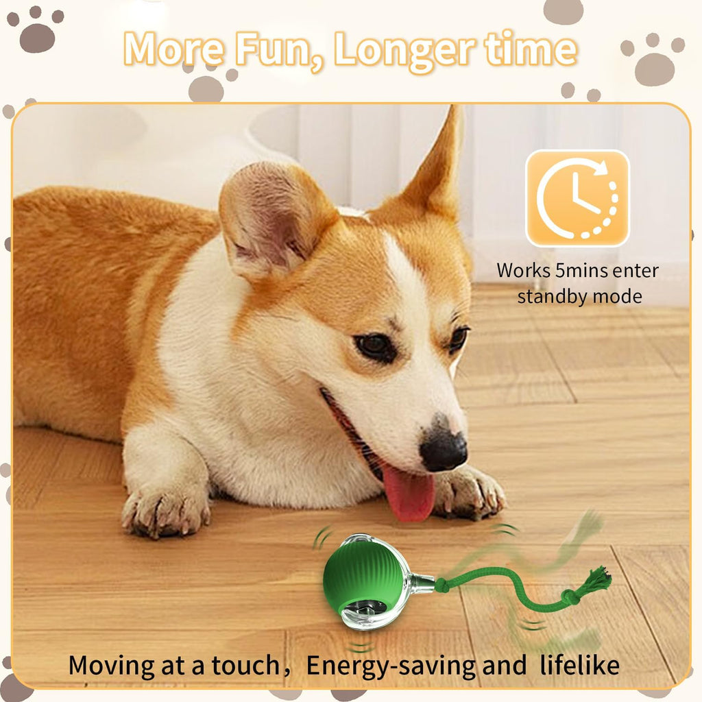 Mtlsttbd automatic pet ball showing the hidden charging port and power button setup.