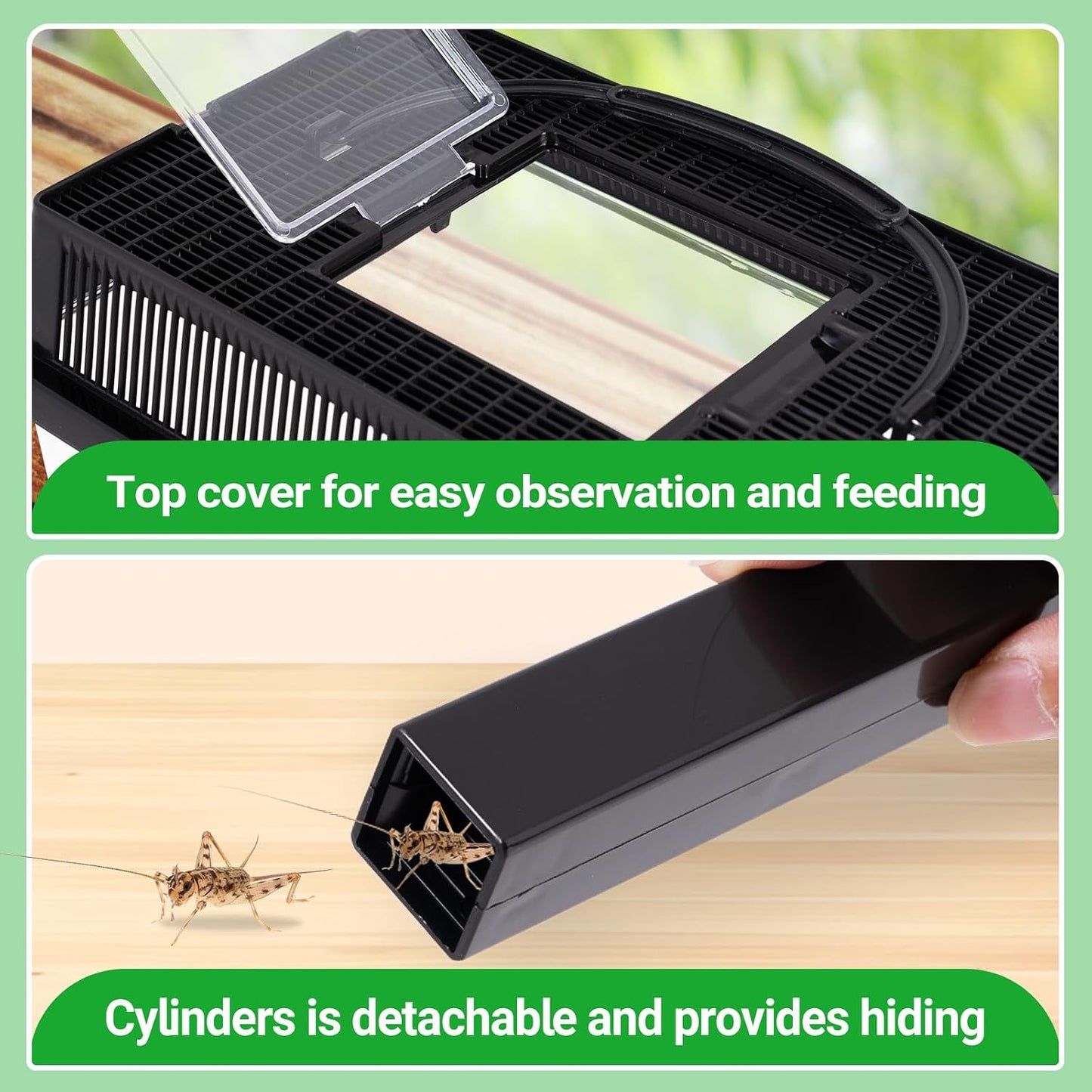 Transparent acrylic cricket keeper with black ventilation lid