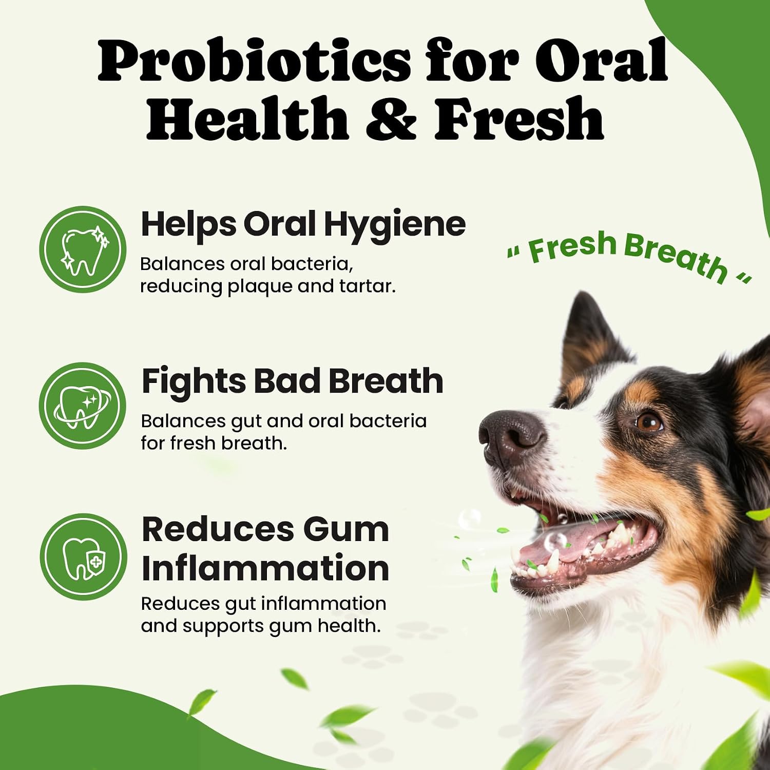 Infographic showing the benefits of pumpkin powder and prebiotics for pet immunity.