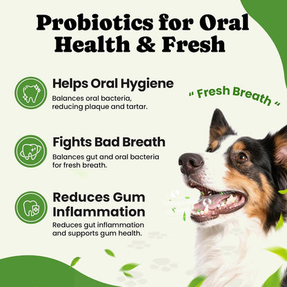 Infographic showing the benefits of pumpkin powder and prebiotics for pet immunity.