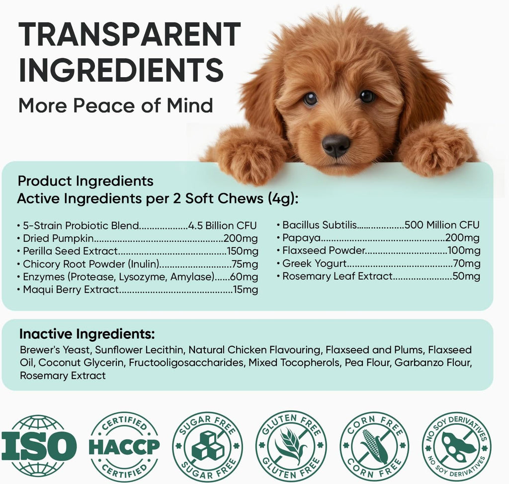 TzzyiC dog gut health supplement jar highlighting its safe use for all breeds.