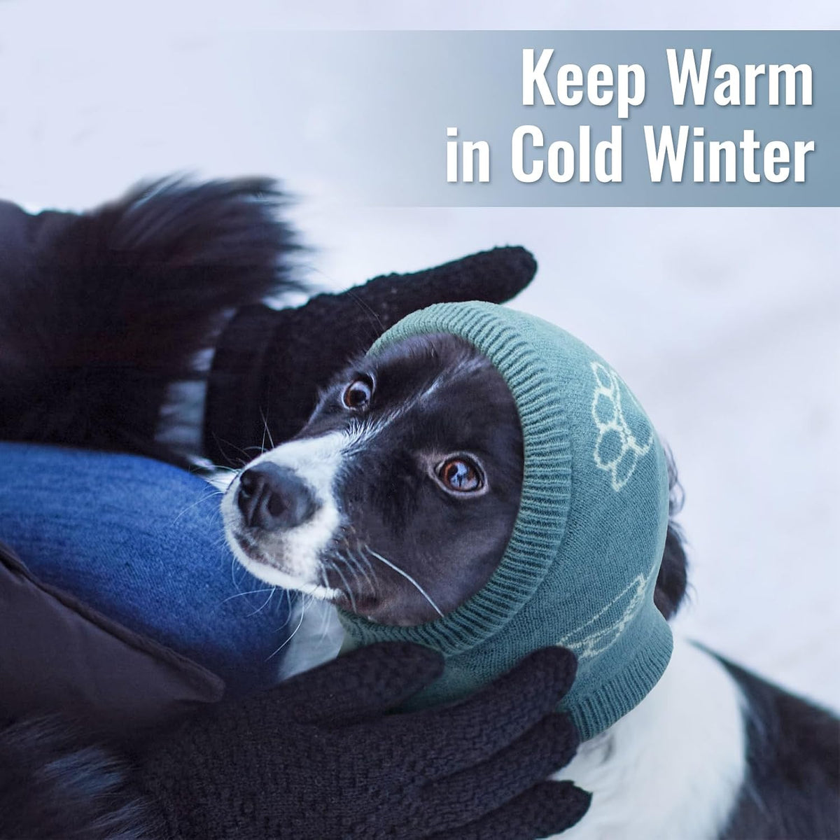 Nanaki calming hoodie used as a warm scarf for dogs outdoors