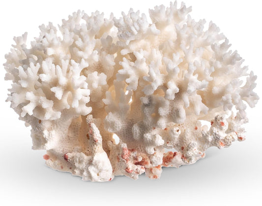 Nautical Crush Trading White Sea Coral front view showcasing natural branching structure