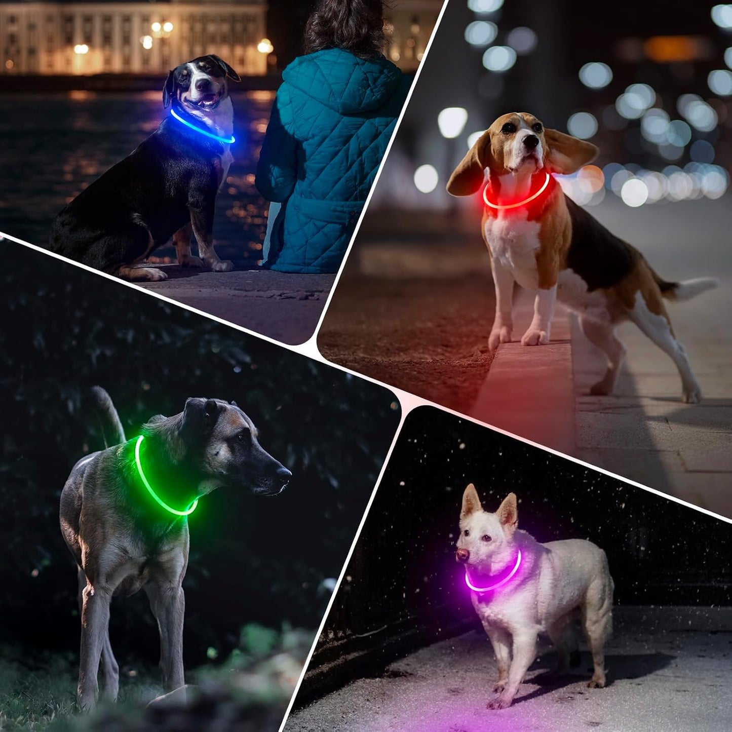 BSEEN glowing dog collar in dark setting