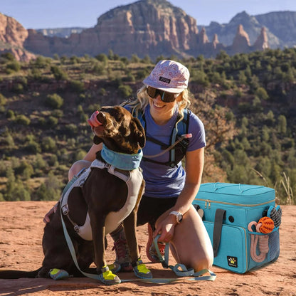 Pmpete pet travel tote showing interior divider organization