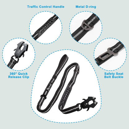 Aviation aluminum quick release frog clip on Raipult dog leash