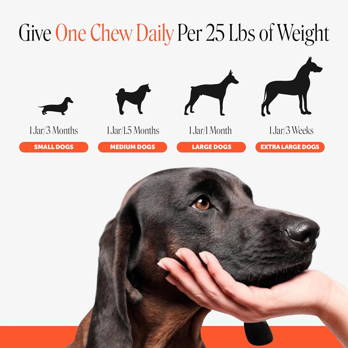 Pet Honesty natural chicken flavor dog chews with turmeric and MSM for inflammation relief