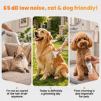 Entire DR.BUNORDLE 8-in-1 pet grooming kit and all professional attachments laid out neatly.