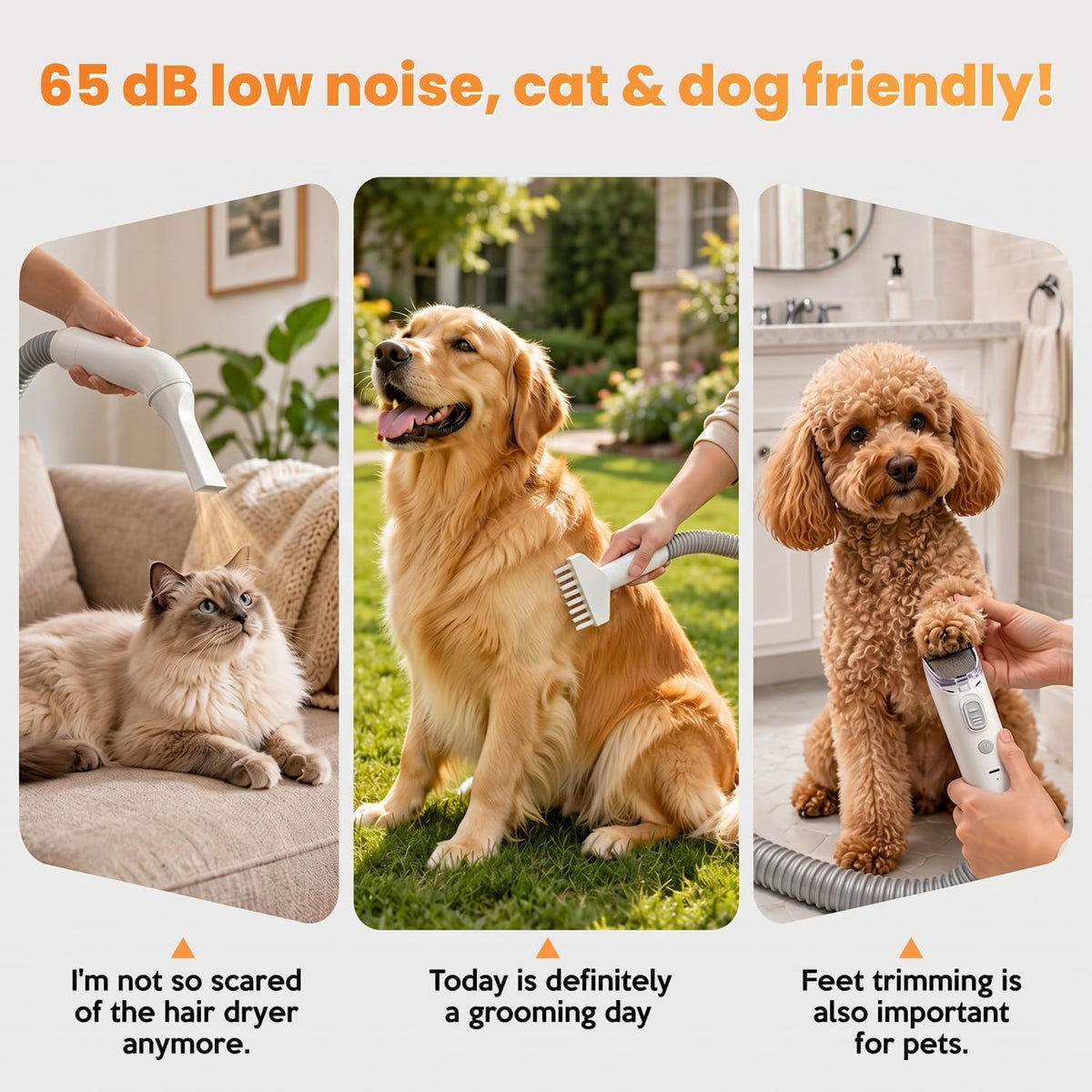 Entire DR.BUNORDLE 8-in-1 pet grooming kit and all professional attachments laid out neatly.