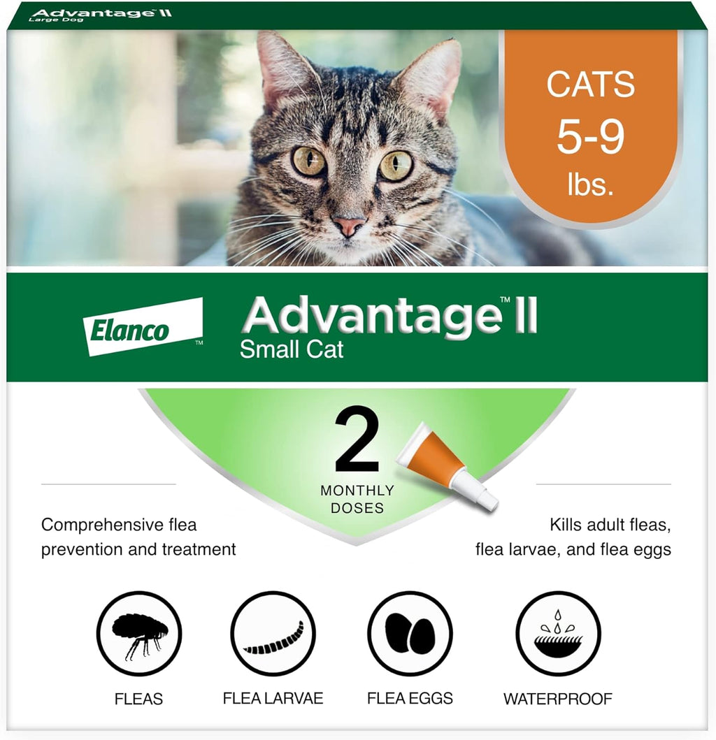 Bayer Advantage II Small Cat flea treatment front view packaging