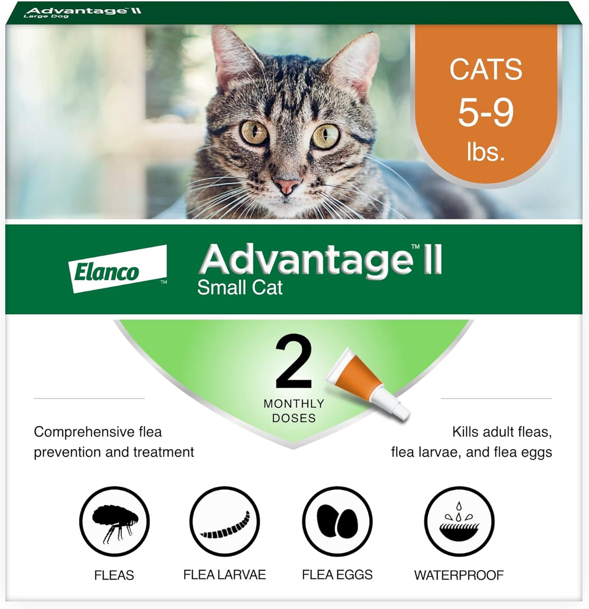 Bayer Advantage II Small Cat flea treatment front view packaging