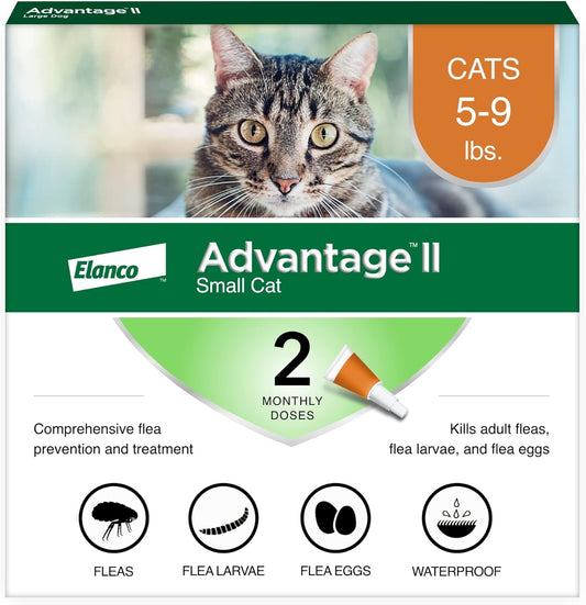 Bayer Advantage II Small Cat flea treatment front view packaging