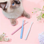 Kitten having teeth cleaned with pink silicone pet brush