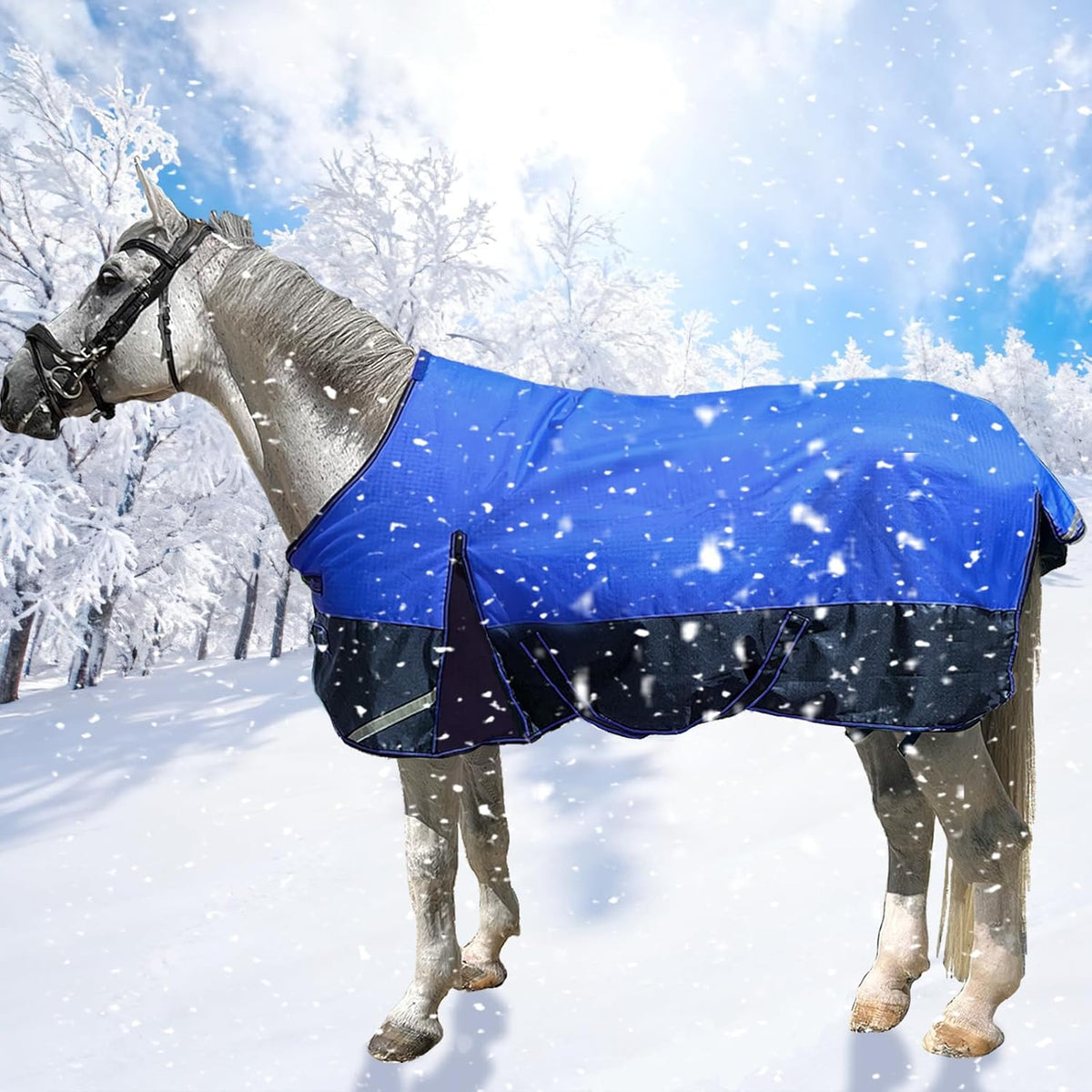 SteeDear 1200D waterproof horse blanket front view