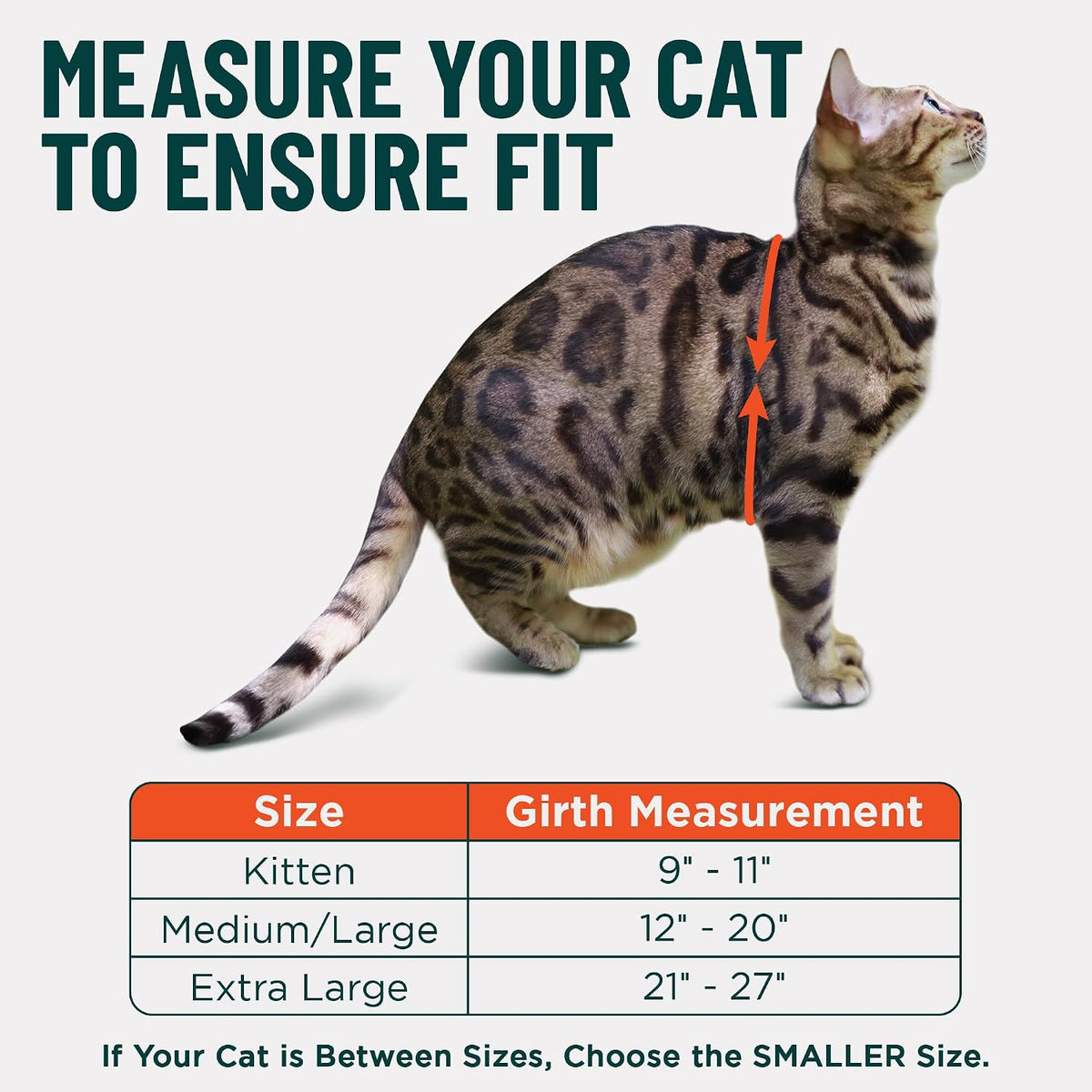 Adjustable straps and side release buckles of the Houdini cat harness