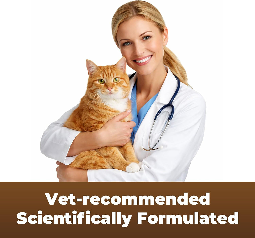 Parontal feline dewormer tablets bulk fifty pack on a clean surface