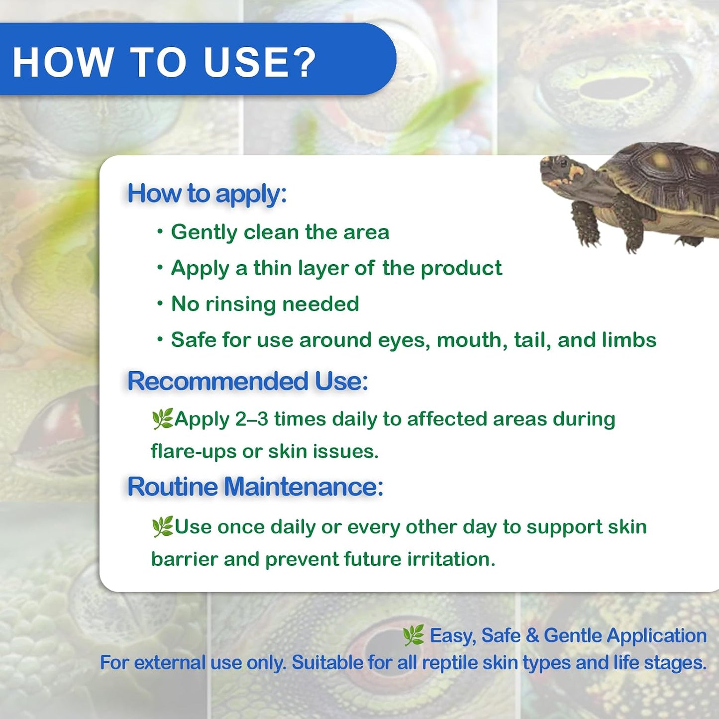 Using Nutriarise spray on a turtle shell for shell rot treatment