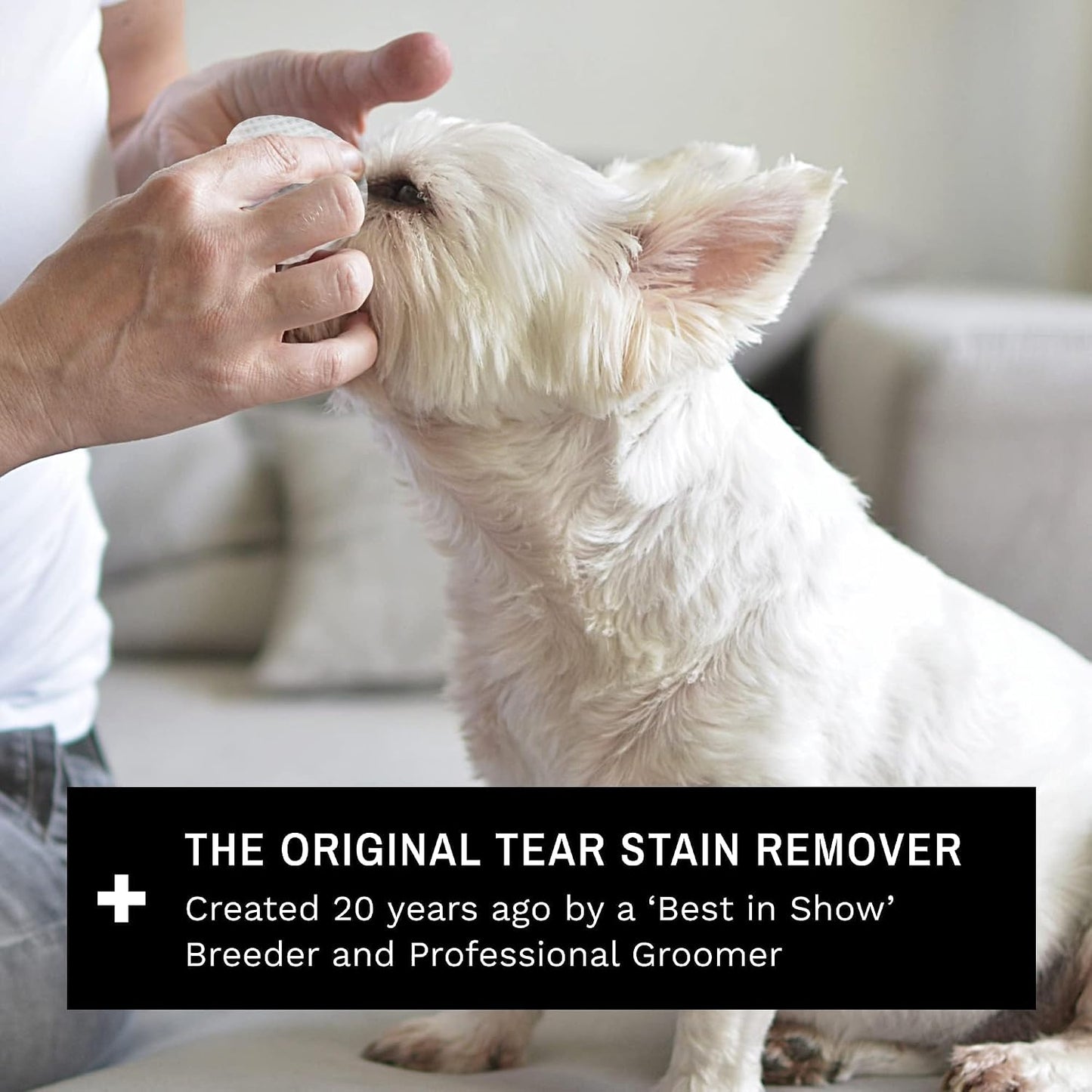 Safe topical eye cleansing wipes for puppies and toy breeds