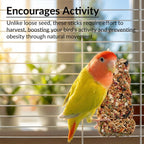 Jousonty Natural Bird Grain Treat Sticks packaging display