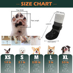 Dog wearing Expawlorer anti-slip socks on hardwood floor