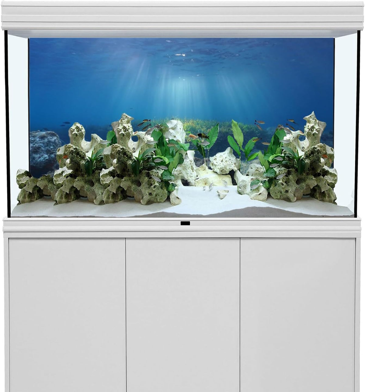 AWERT ocean floor fish tank background front view