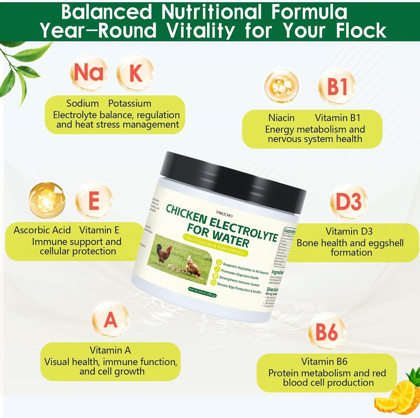Back label instructions for Yakucho chicken electrolyte powder supplement