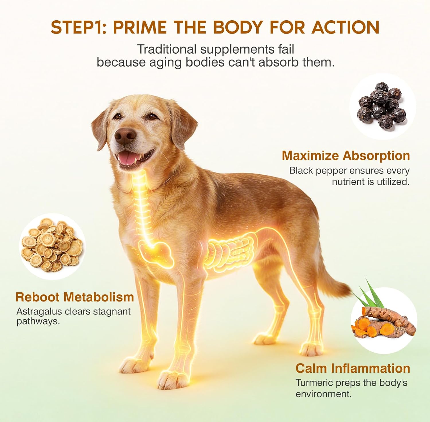 Back label of Ladnut mushroom chews for dogs highlighting turkey tail reishi and maitake ingredients