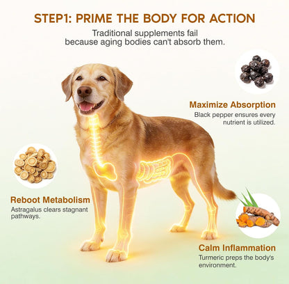 Back label of Ladnut mushroom chews for dogs highlighting turkey tail reishi and maitake ingredients