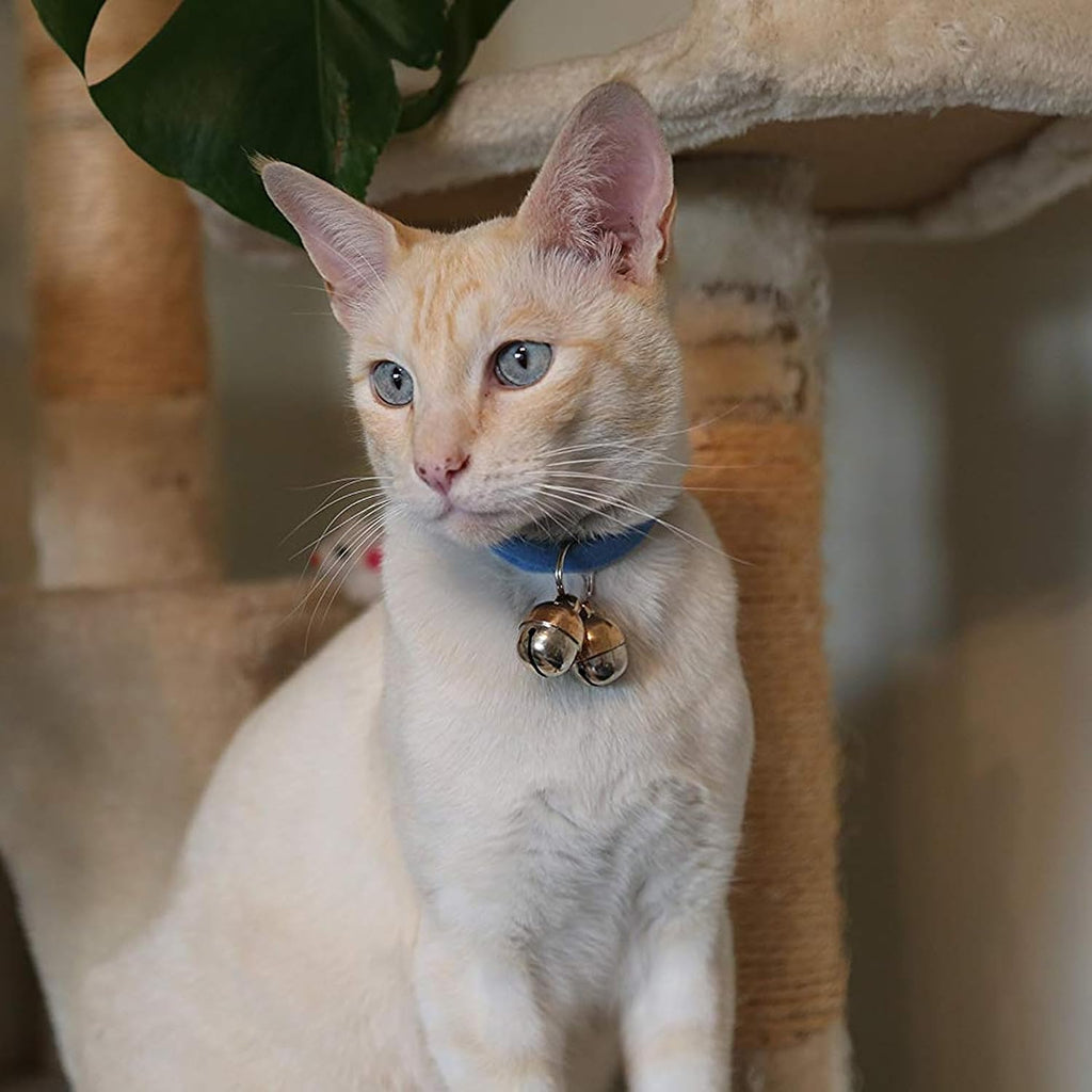 Beau's Bells extra loud cat collar bells designed for wildlife and bird protection