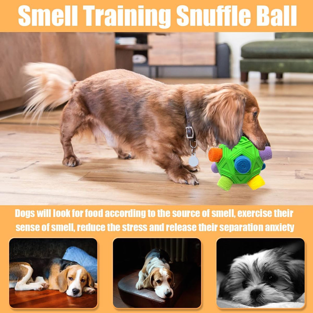 Small dog playing with green Petration snuffle ball