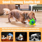 Small dog playing with green Petration snuffle ball