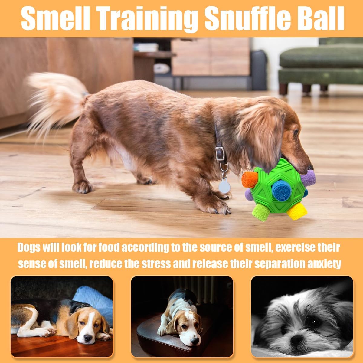 Small dog playing with green Petration snuffle ball