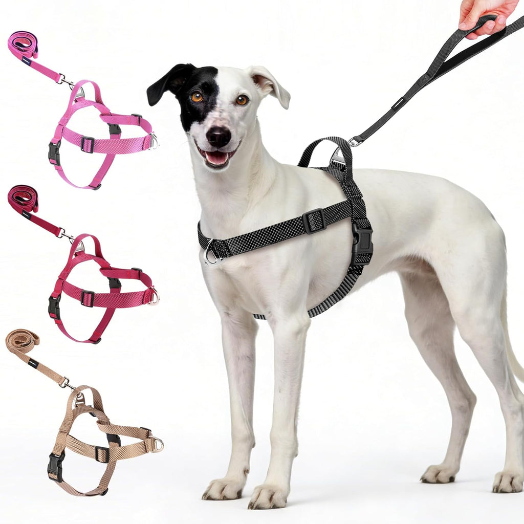 Annchwool no pull dog harness black front view