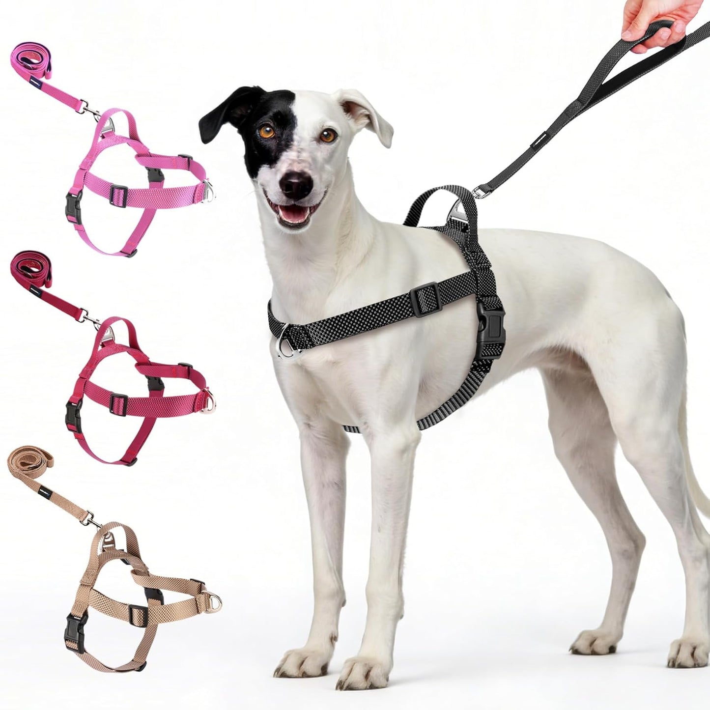 Annchwool no pull dog harness black front view