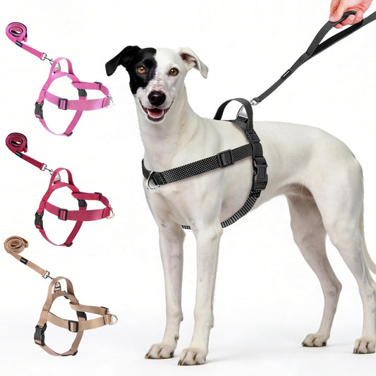Annchwool no pull dog harness black front view