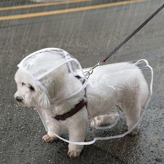 Clear waterproof dog poncho with adjustable hood showing side coverage