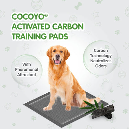 Waterproof polyethylene back layer of COCOYO training pads